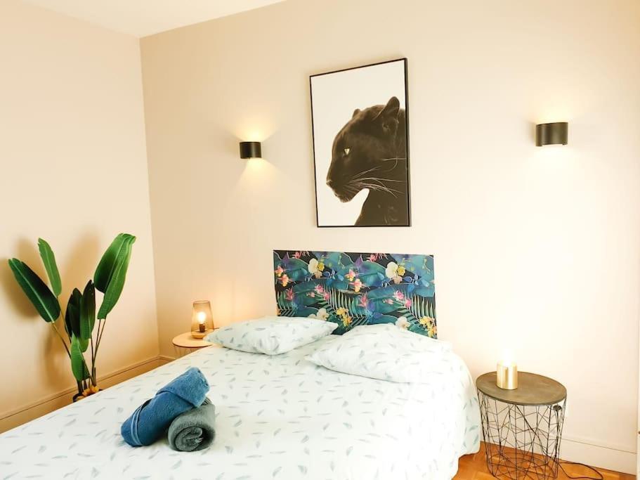 Cosy Mure 4Ch - Stationnement Gratuit Pau Dış mekan fotoğraf